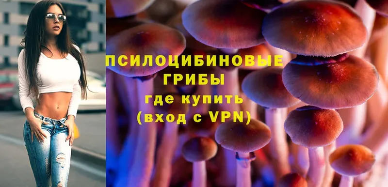 Псилоцибиновые грибы Psilocybine cubensis  Верея 